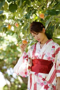 国产在线一区观看