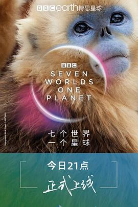 万全影视福利在线播放