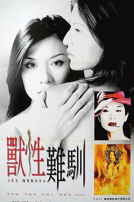 北流深夜视频大全